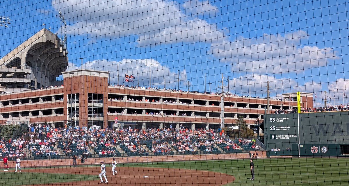 saintseester tweet media