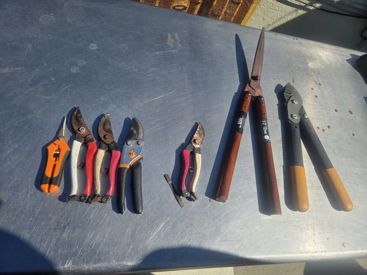 𝗞𝗥𝗠₭TⵣWN tweet media