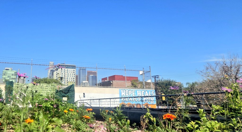 𝗞𝗥𝗠₭TⵣWN tweet media