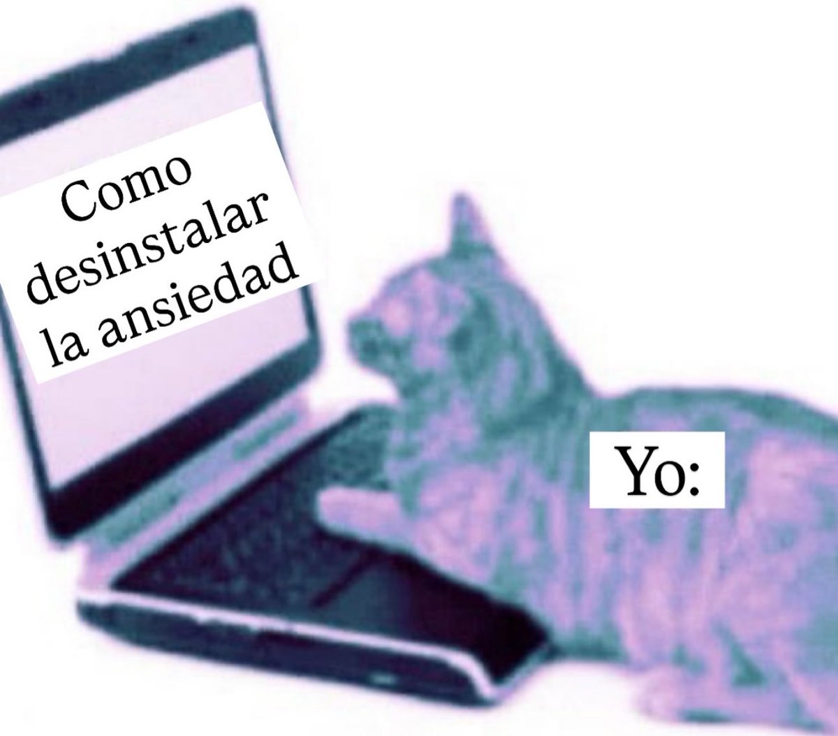 Pensamientos (@frasesimple) on Twitter photo 