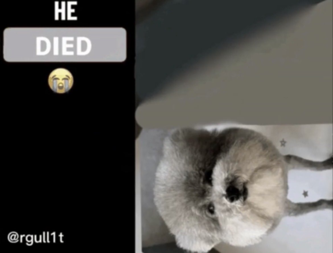 SodiumH20 tweet media