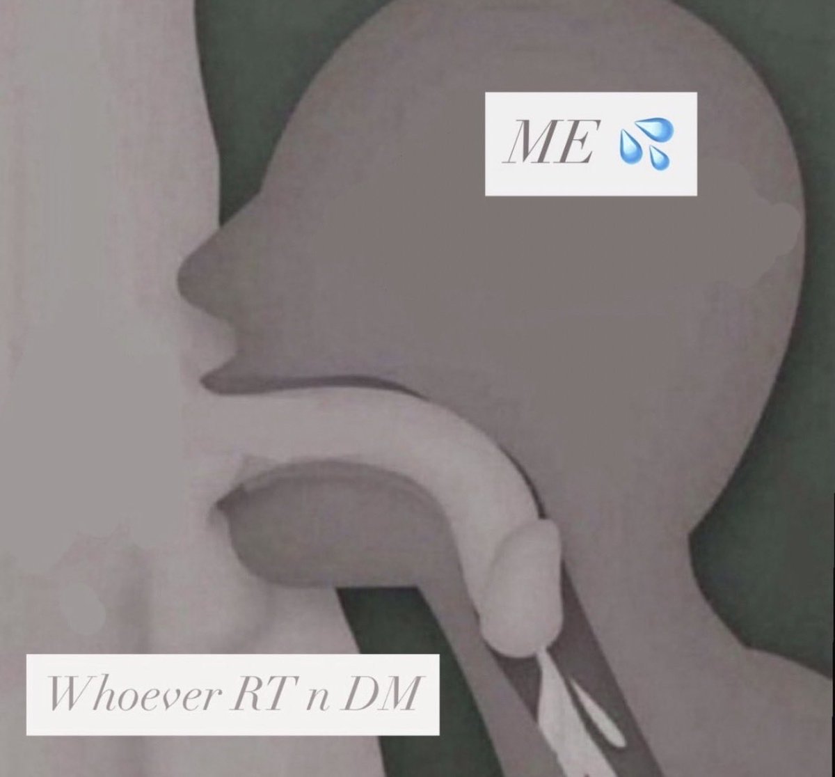 somefreakygaynigga tweet media