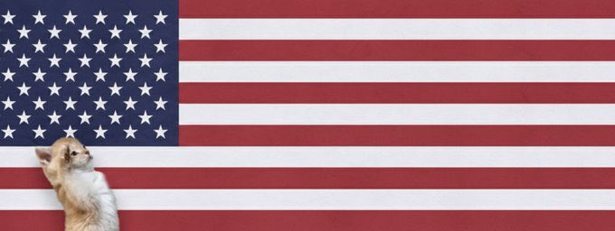 بزرگوار tweet media