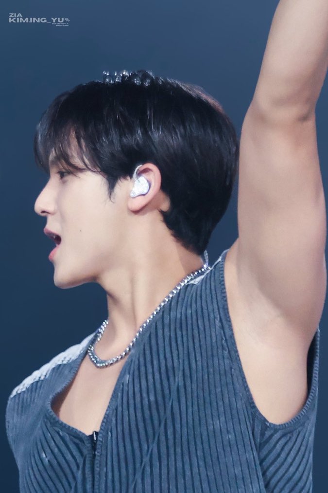 mingyu pits (@mingyupits) on Twitter photo 
