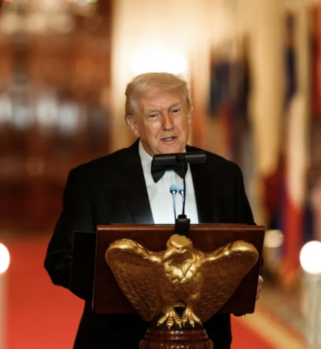 MAGA Voice tweet media