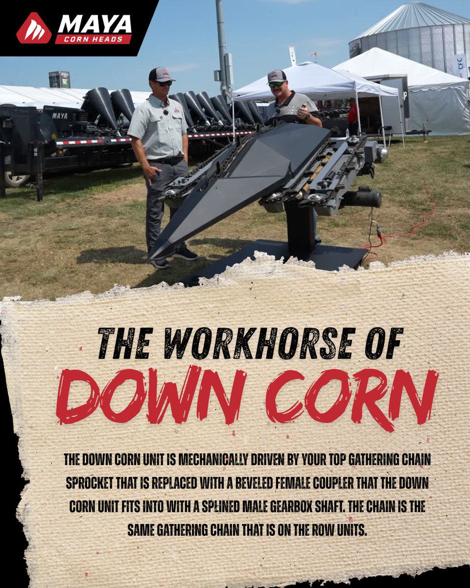 maya_cornheads's tweet photo. Down corn doesnโt wait for perfect conditions. ๐ฝ
Thatโs why MAYA Corn Heads are built to be the workhorse of down corn, ready for the tough situations that matter when the time comes.
Built for whatโs ahead. No extra hydraulics, easy install.
#MayaCornHeads #DownCorn https://t.co/ASSP2b5DjM