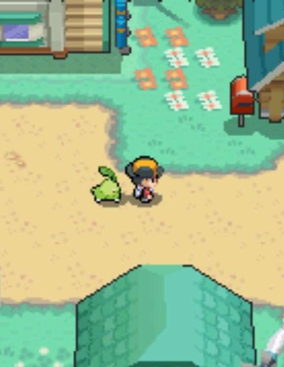 trainermateo's tweet photo. comecado pomemon soulsilver  e obv que escolhi chikorita  vamo domjnar jotho https://t.co/XteQ5ysw0S