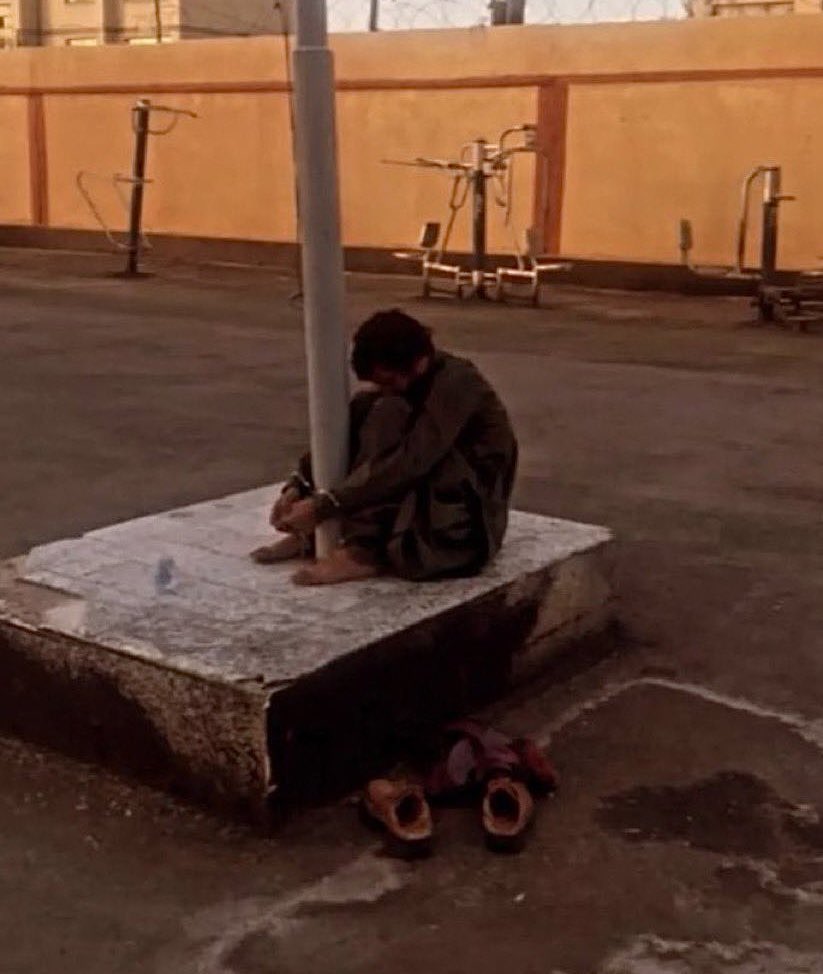 ئاریان - Aryan tweet media