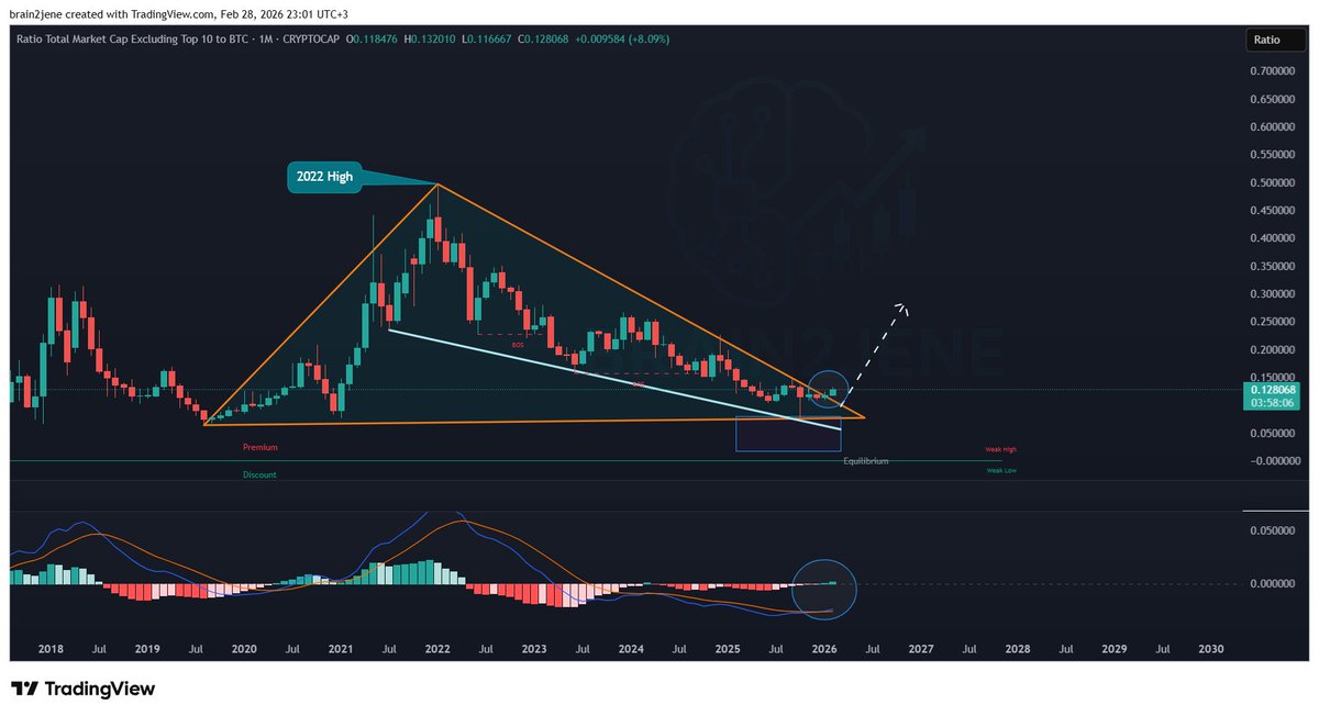 Brain2jene💫 tweet media