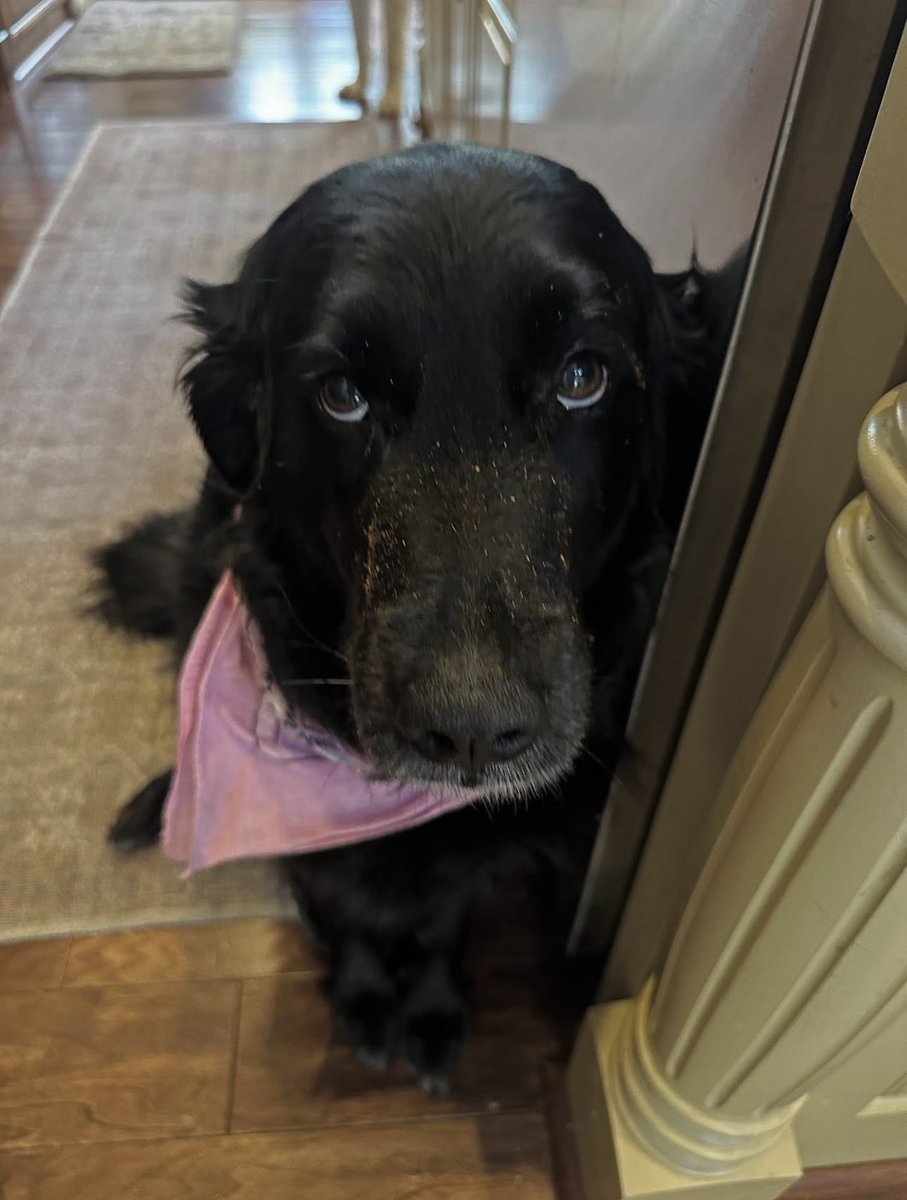 katherine tweet media