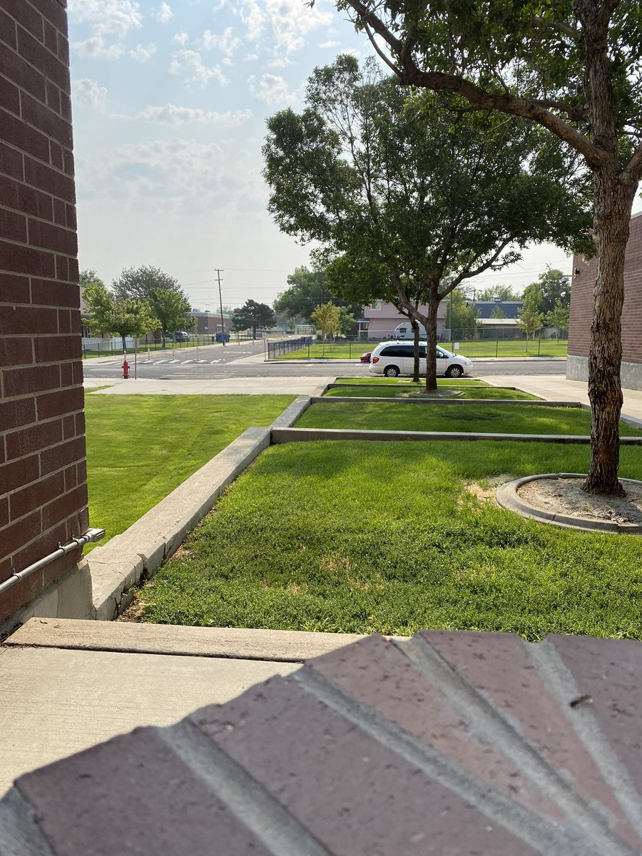 Chip 🦦 tweet media