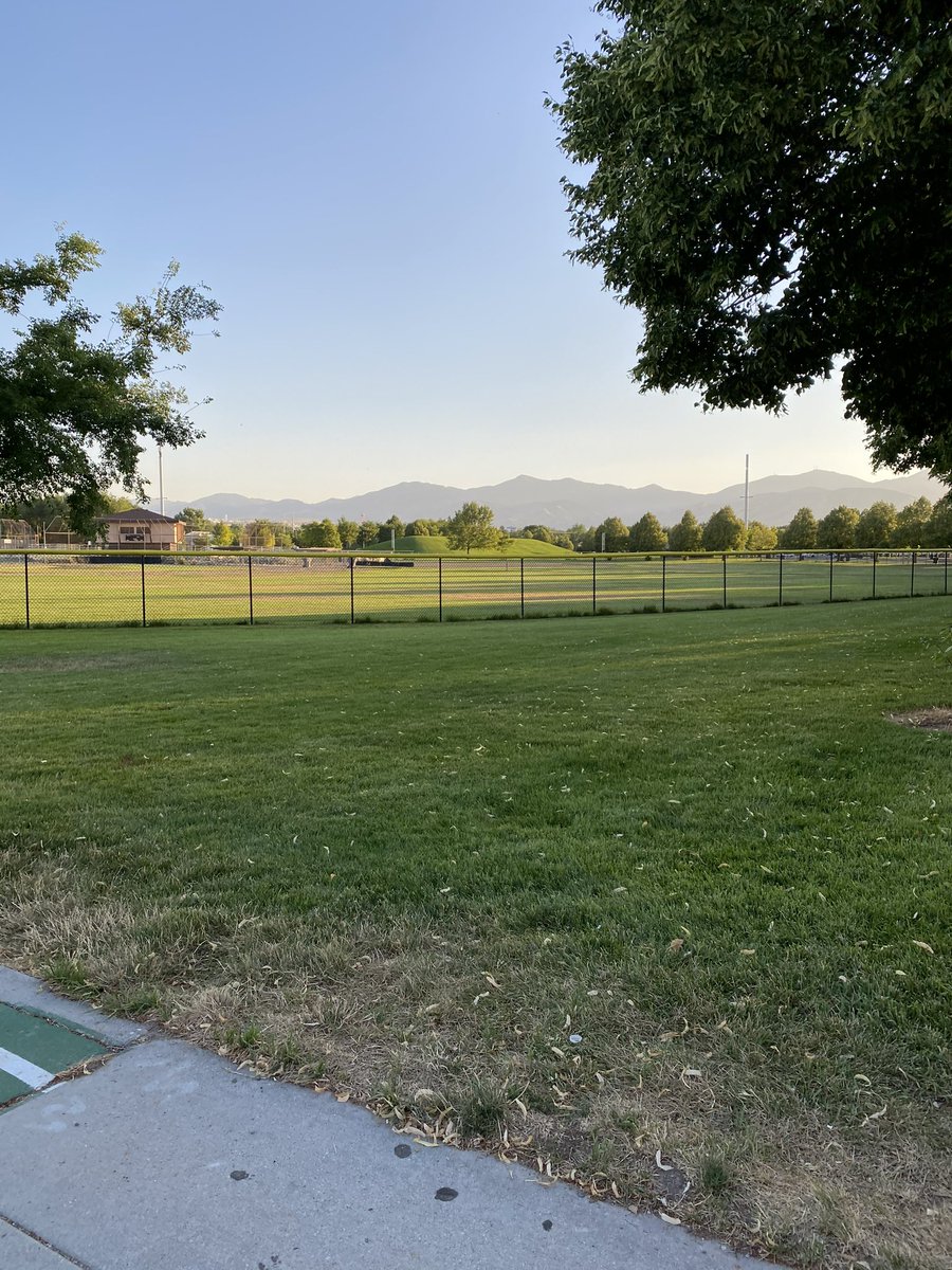 Chip 🦦 tweet media