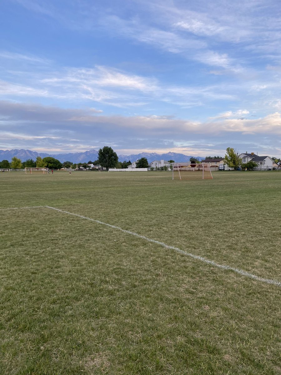 Chip 🦦 tweet media