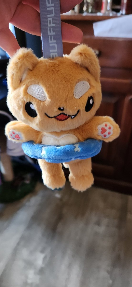 ViceroyLimentis's tweet photo. This BuffBubu is coming with us to #colossalconprime, they're pool ready! @GamerSupps #Buffpup https://t.co/pL1mObVy1a