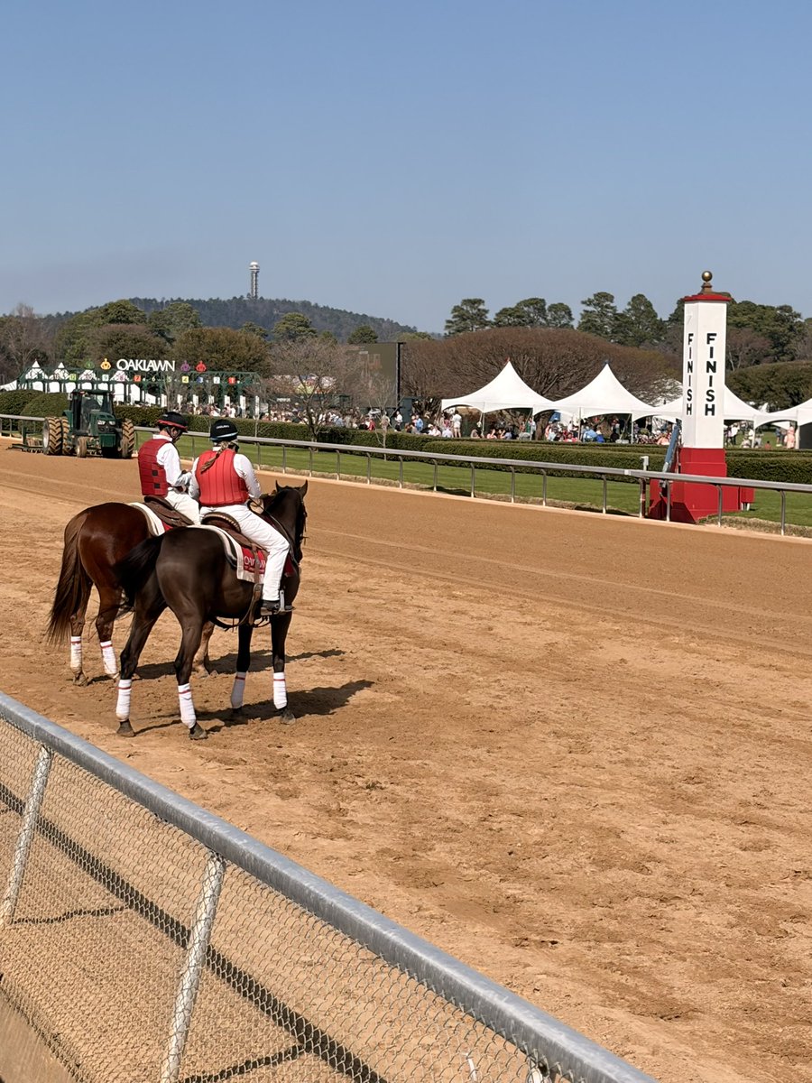 Miranda Jo tweet media