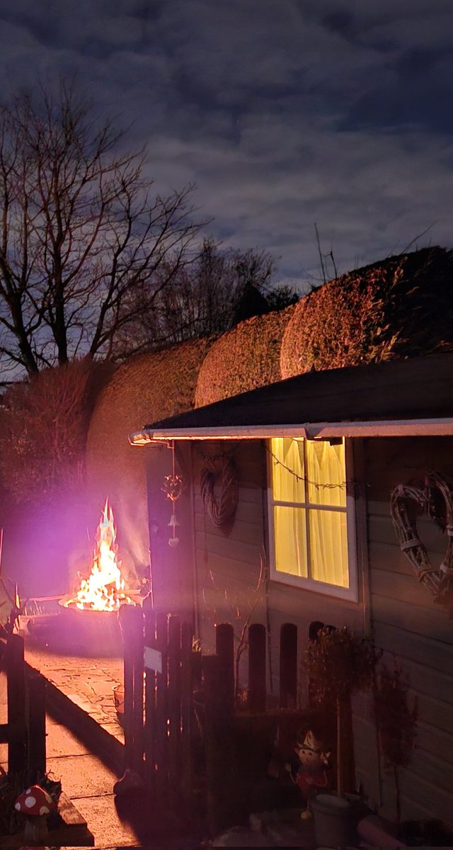 Anita💚✨️ tweet media