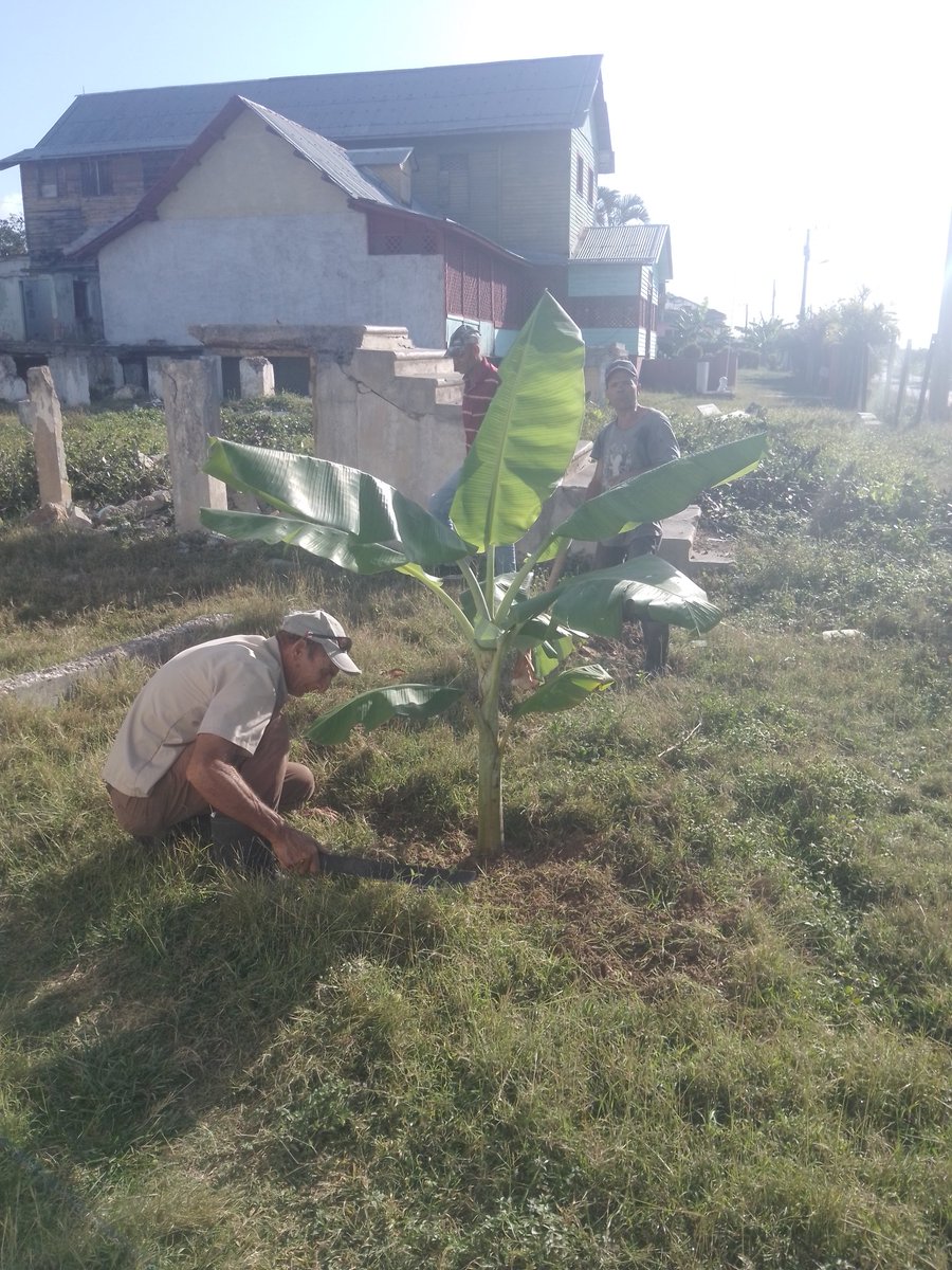 Los trabajadores de nuestra filial en la ardua tarea de siembra en la parcela de auto consumo
