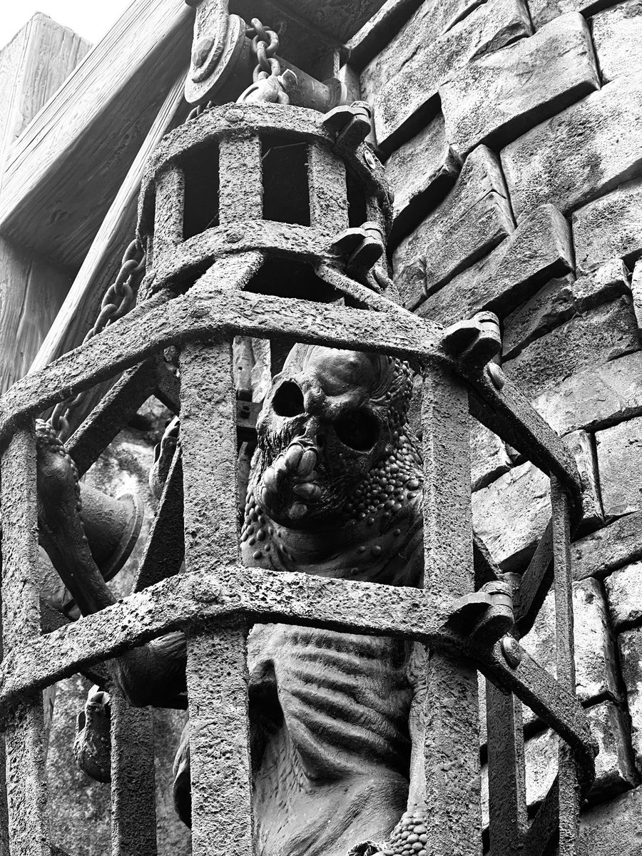 Phil ✦ The Horizoneer tweet media