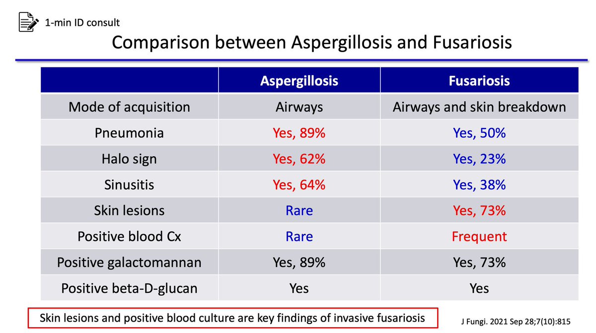 kakule06's tweet photo. @MayoClinicINFD Invasive Fusariosis (Fusarium sp.) https://t.co/KVr1UnwYue