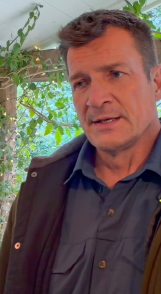 Birgit R. 🌻 tweet media