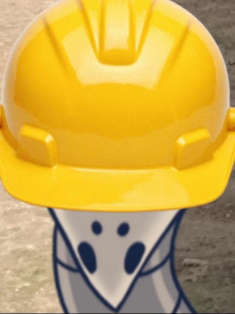 IamthegreatGorb's tweet photo. 🚧 First day of construction. 🚧 https://t.co/AWUeJzhBNe