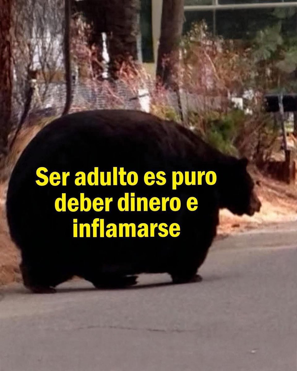 FraseSimple's tweet photo. https://t.co/y3caNFlFcr