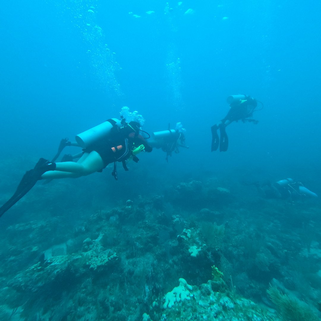 Frost Science tweet media