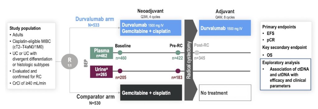 urotoday's tweet image. Urinary tumor DNA and ctDNA in patients with #MIBC who received perioperative durvalumab in #NIAGARA. Presented by @MichvdHeijden @NKI_nl. #GU26 written coverage by @zklaassen_md @GACancerCenter &amp;gt; bit.ly/40CA1TY