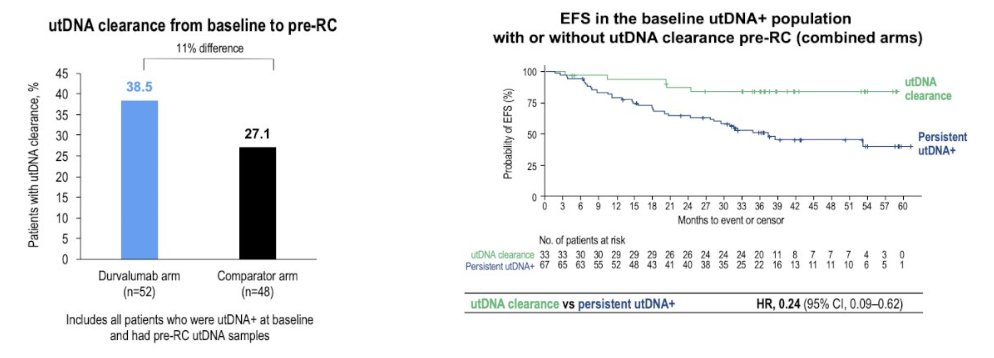 urotoday's tweet image. Urinary tumor DNA and ctDNA in patients with #MIBC who received perioperative durvalumab in #NIAGARA. Presented by @MichvdHeijden @NKI_nl. #GU26 written coverage by @zklaassen_md @GACancerCenter &amp;gt; bit.ly/40CA1TY