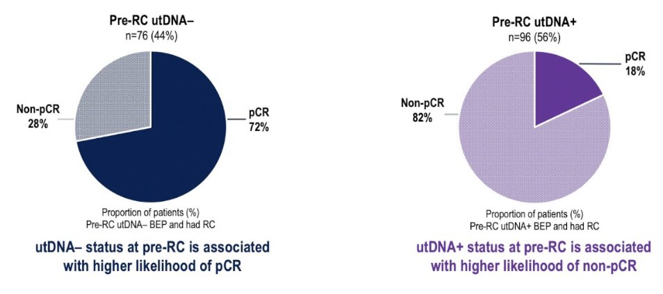 urotoday's tweet image. Urinary tumor DNA and ctDNA in patients with #MIBC who received perioperative durvalumab in #NIAGARA. Presented by @MichvdHeijden @NKI_nl. #GU26 written coverage by @zklaassen_md @GACancerCenter &amp;gt; bit.ly/40CA1TY