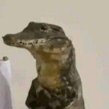 Fer1_Lokim tweet media