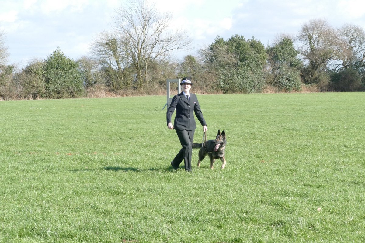 DC_Police Dogs ( Puppy Development Program) tweet media