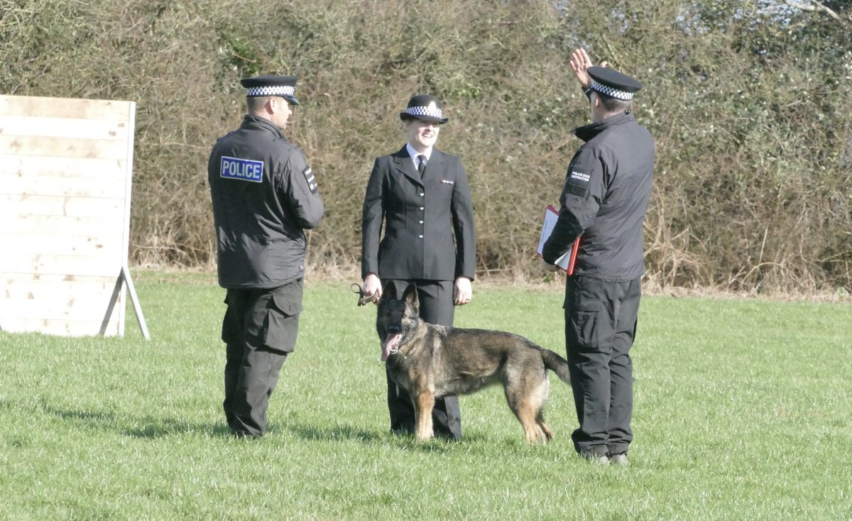 DC_Police Dogs ( Puppy Development Program) tweet media