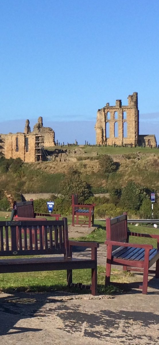 Lloyd and Star tweet media