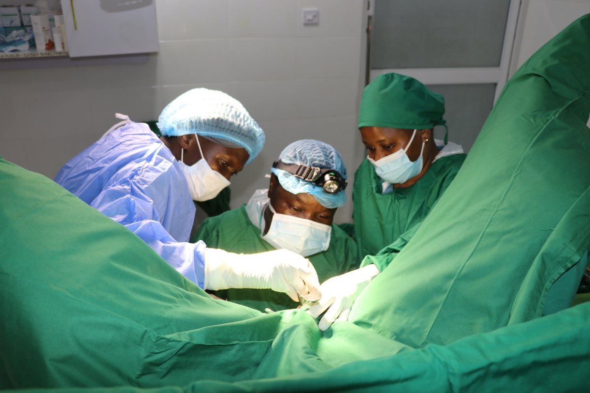 WADADIA Non Profits tweet media