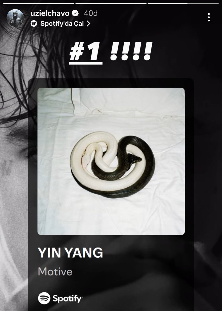 Bu adamlar kardeş lan