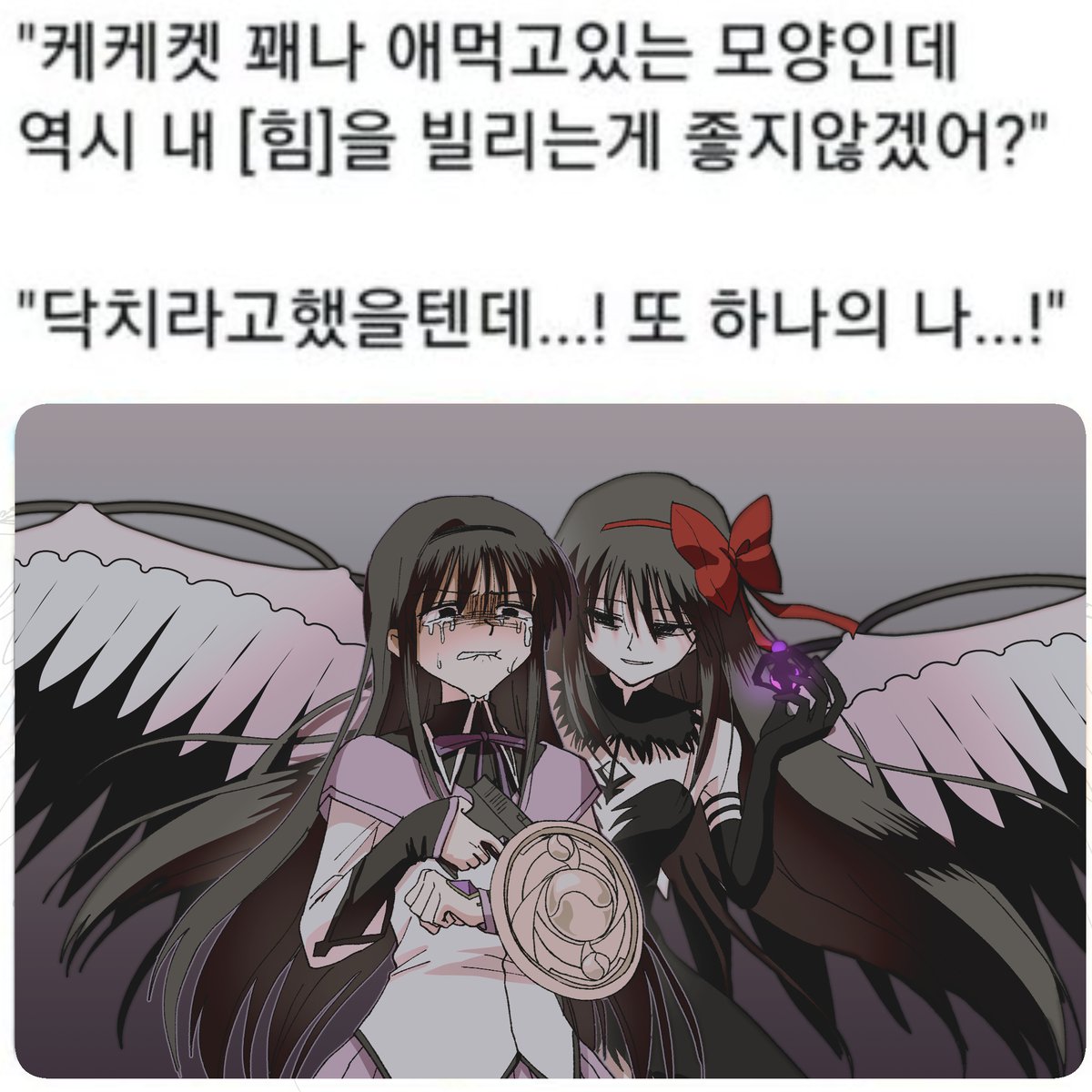 호무라 트레이싱