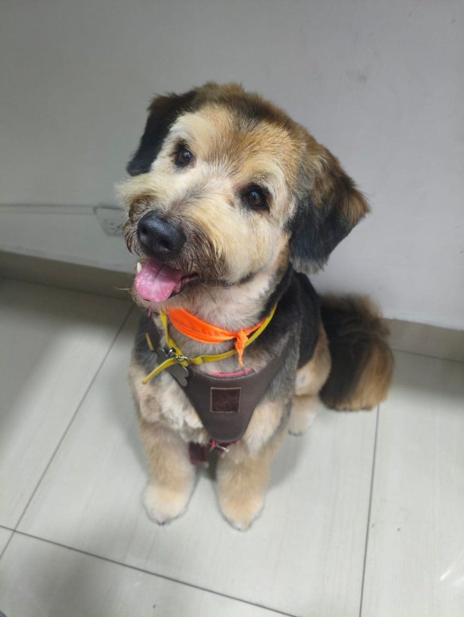 Antes bien humilde // Ahora el divo de Juarez