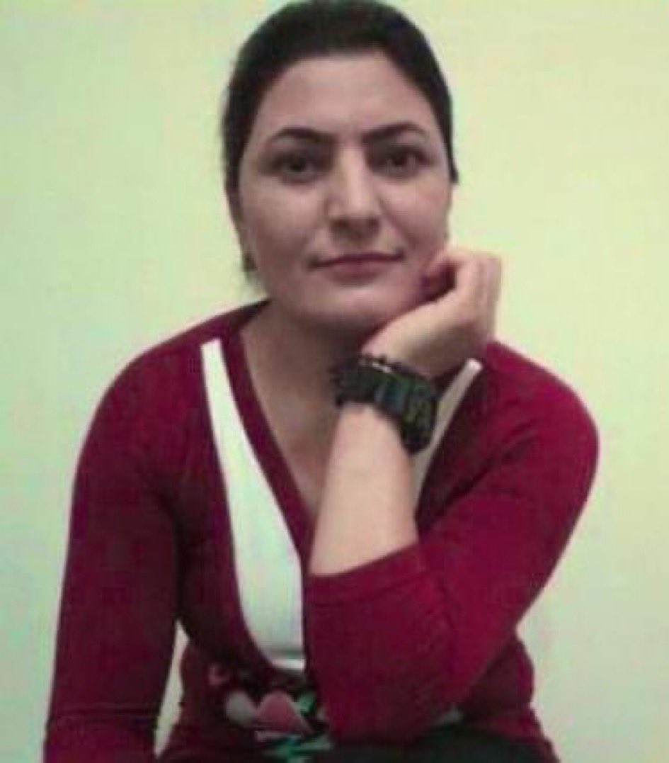 Nick Sotoudeh tweet media