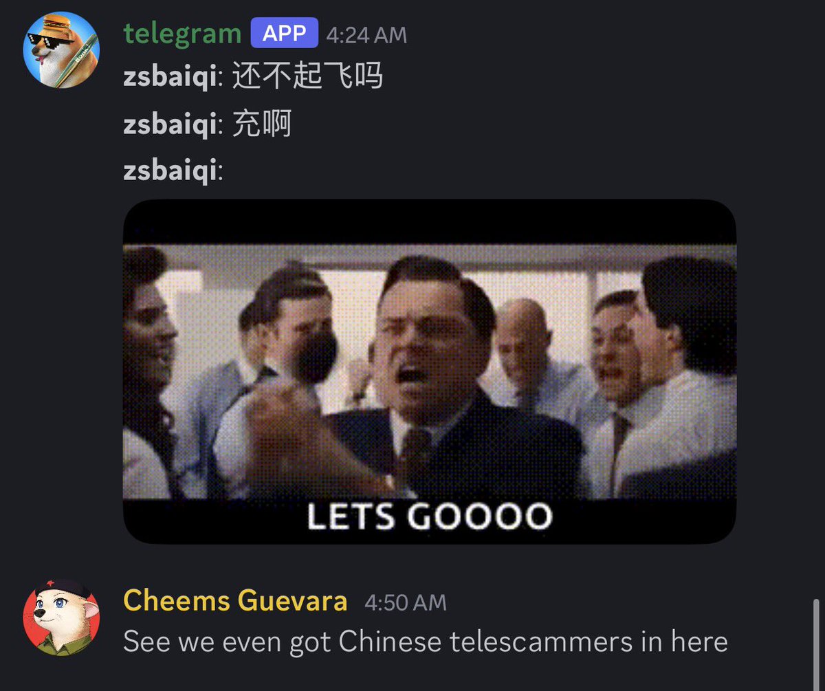 0xk3rmit's tweet photo. confession:

sometime i log on @TheCheemsToken discord, and have some laugh https://t.co/uH6XPZ7XsI