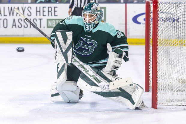 🚨Shellz⚡ tweet media