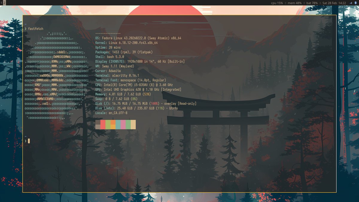 CarlosRetamero's tweet photo. @fedora I may have spent all Friday night and Saturday morning fighting #Wayland to (poorly) rice up my Sway Atomic. Now I can finally start learning things in a beautiful environment...

#SwayWM #linuxporn #linuxrice https://t.co/5EHZzI01ny