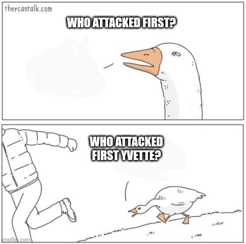 OccidentalTouriste tweet media