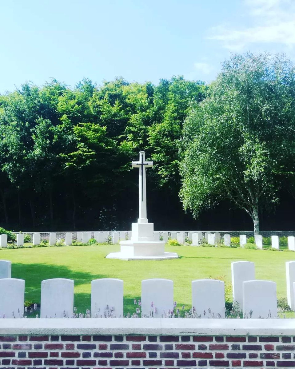 Lickle Cottage Life... 🌹🌼🌻🌺 tweet media