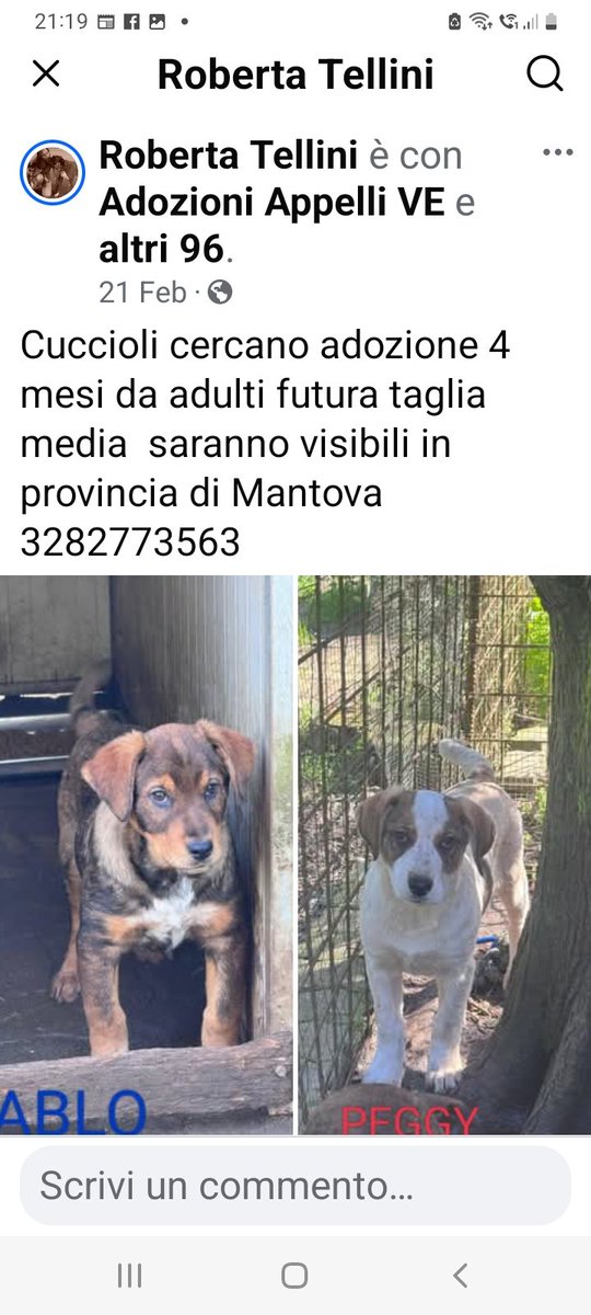 PABLO A SX E PEGGY A DX CERCANO UNA FAMIGLIA 🙏🙏🙏🙏🙏❤️❤️❤️❤️❤️❤️❤️❤️❤️