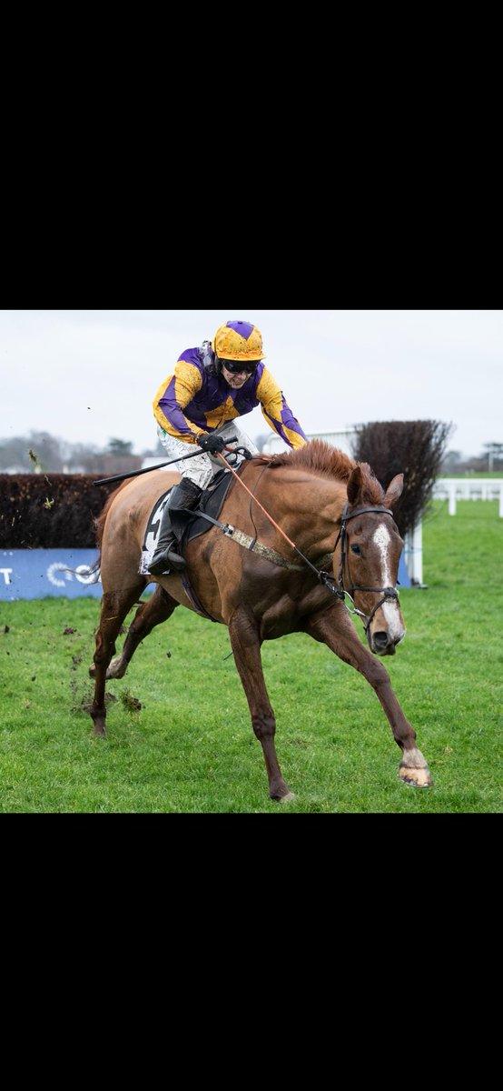 Bleahen Brothers tweet media