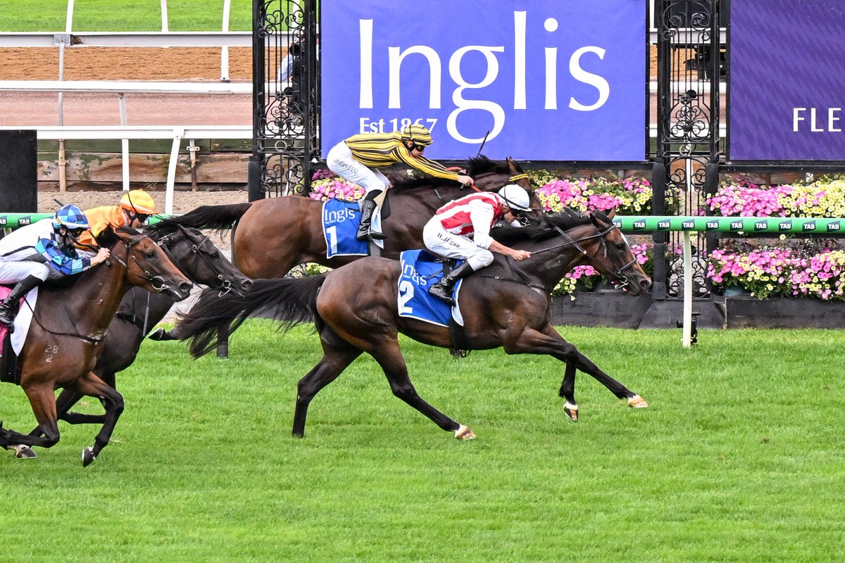 Milburn_Creek's tweet photo. "She's a HIGH CALIBRE horse and we've always had a massive opinion of her.....the WORLD is her oyster,” Danny O’Brien stable rep Matt Harrington on our #InglisEaster sold 3yo So You Think filly Getta Good Feeling, winner of the $1m Inglis Sprint @FlemingtonVRC for @DOBrienRacing. https://t.co/DHAbYfm1zC