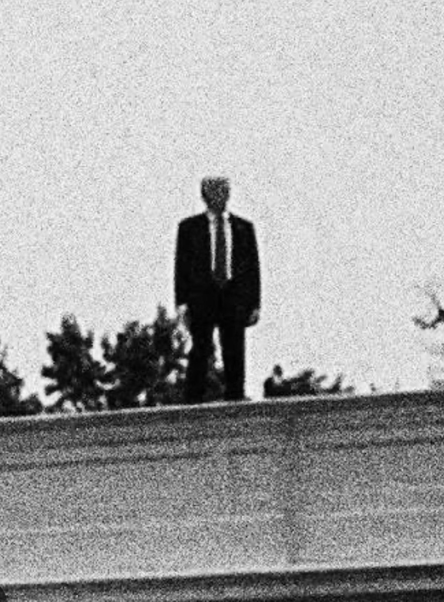 Daniel Baldwin (@baldwin_daniel_) on Twitter photo 