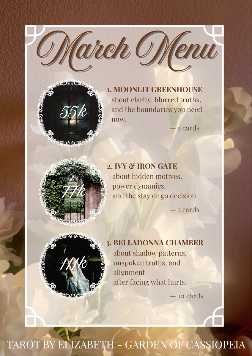 elizabeth | tarot reader ; OPEN! tweet media