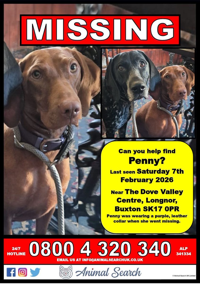 MissingPetsGB's tweet image. "3 weeks missing now. Can't cope 😭
Please keep a look out for them everywhere &amp;amp; anywhere, and/or if anyone you know suddenly has a new dog, that looks like either of them, please get in touch!"

PENNY &amp;amp; MAEVE/MAVIS #missing since 7 February 2026
#Buxton #Staffordshire #SK17